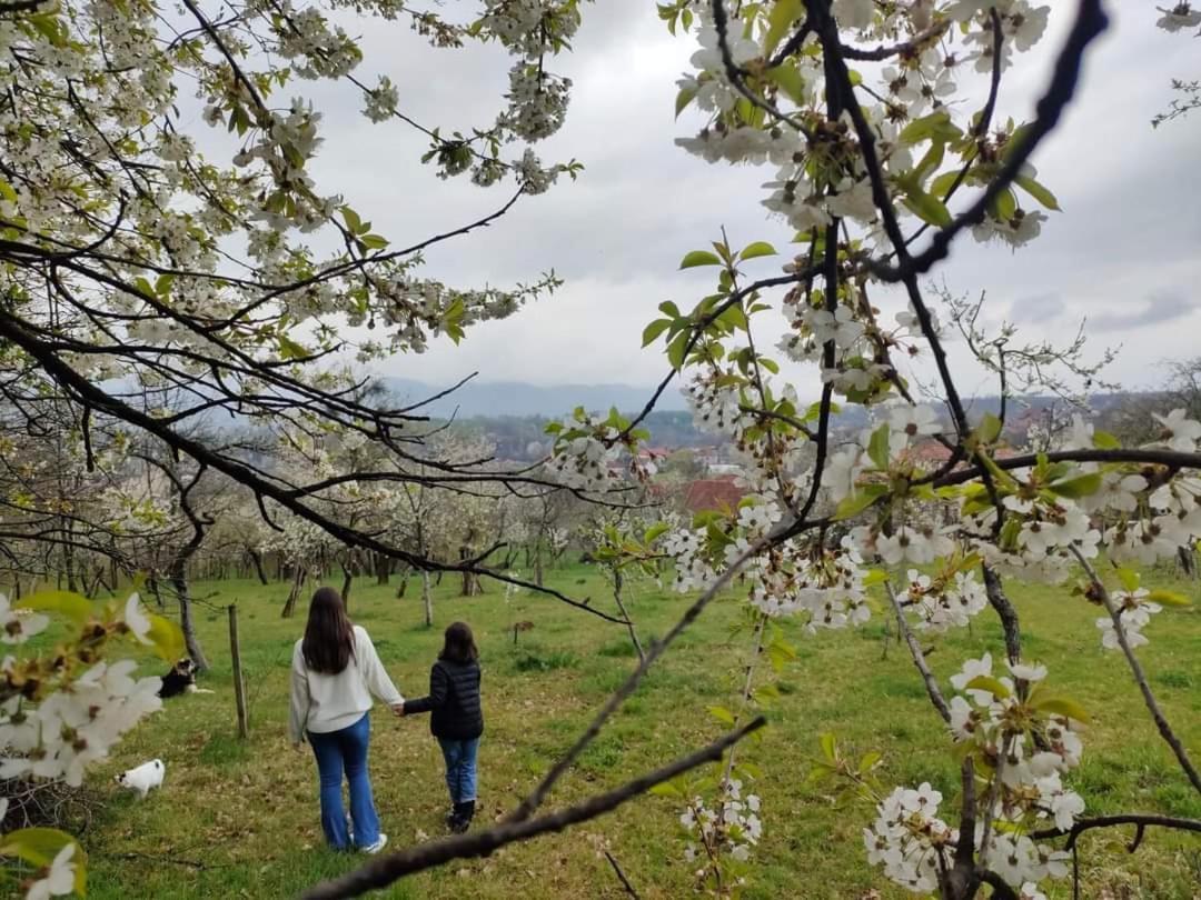 Casa Smeilor Horezu Bagian luar foto