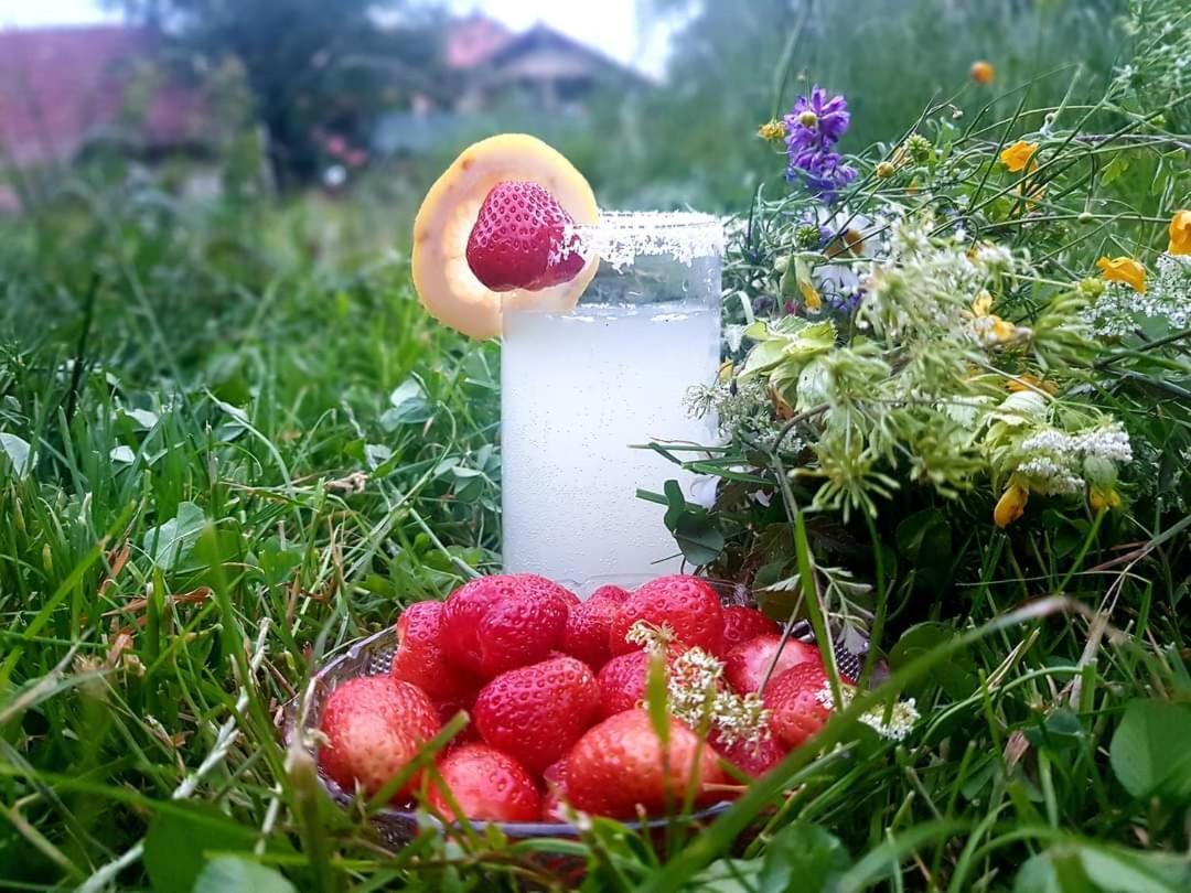 Casa Smeilor Horezu Bagian luar foto