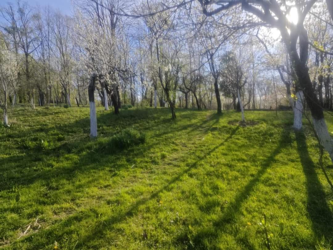 Casa Smeilor Horezu Bagian luar foto