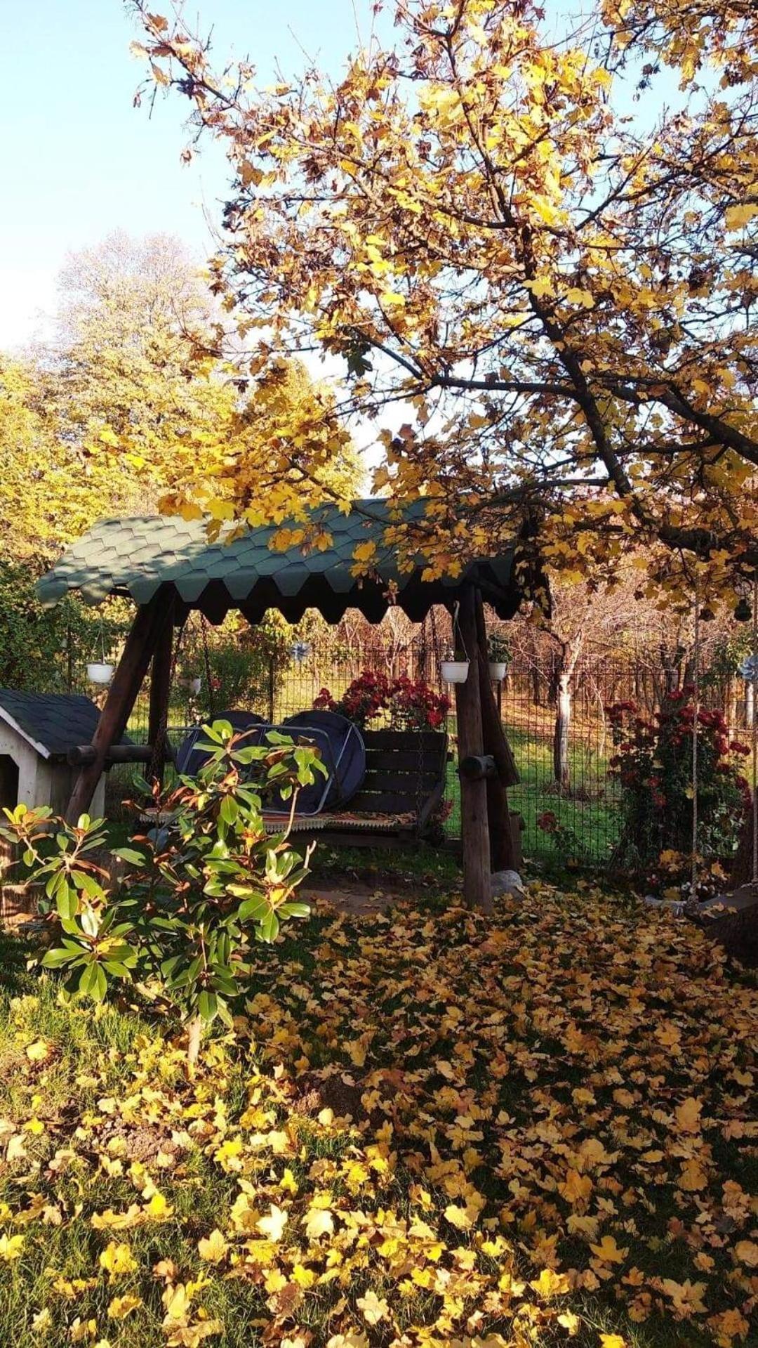 Casa Smeilor Horezu Bagian luar foto