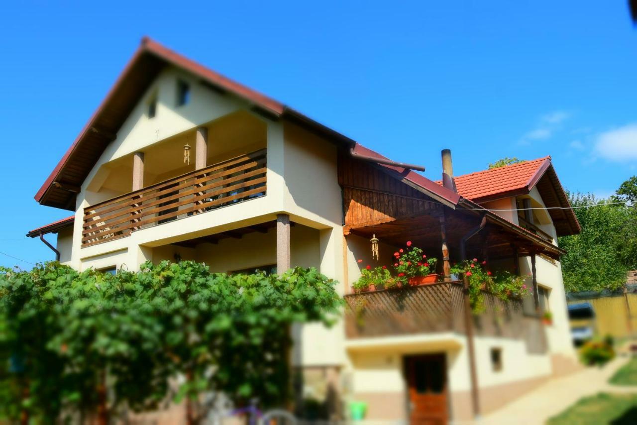 Casa Smeilor Horezu Bagian luar foto