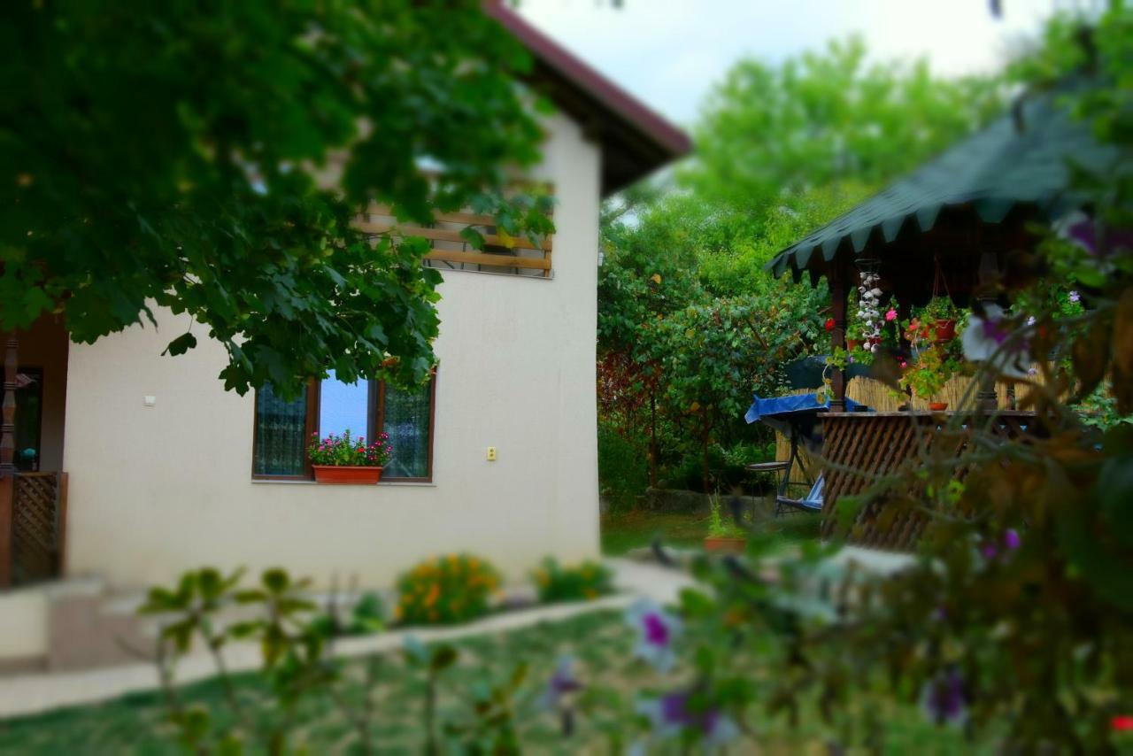 Casa Smeilor Horezu Bagian luar foto