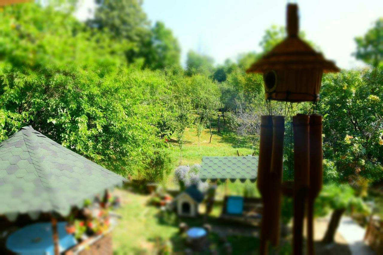 Casa Smeilor Horezu Bagian luar foto